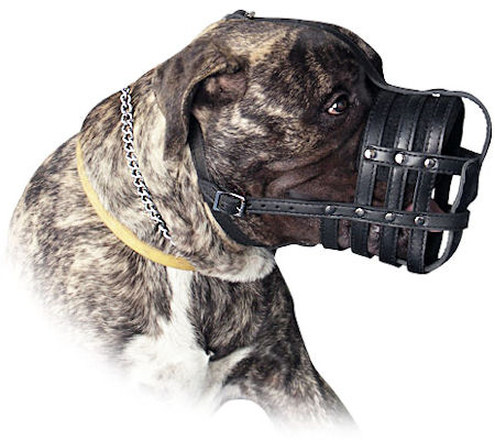 dog muzzles for biting