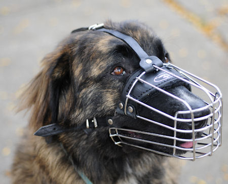 Wire Dog Muzzle for Kavkazskaya Ovcharka-Caucasian Shepherd DOG