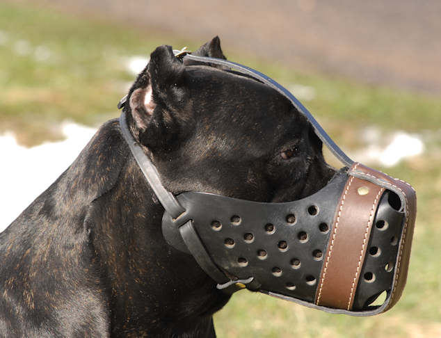 Leather dog muzzle "Dondi" -pluse style For Cane Corso m55