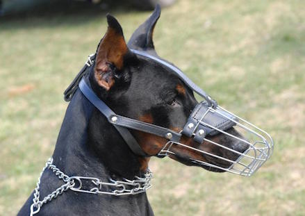 Basket Wire Dog Muzzle Light For Doberman - Wre Cage Dog Muzzle