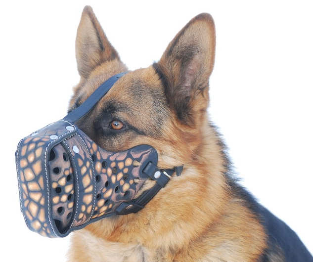Leather dog muzzle "Dondi"-plus style For GSD