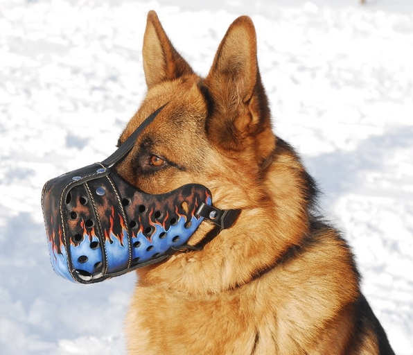 buy dog muzzle