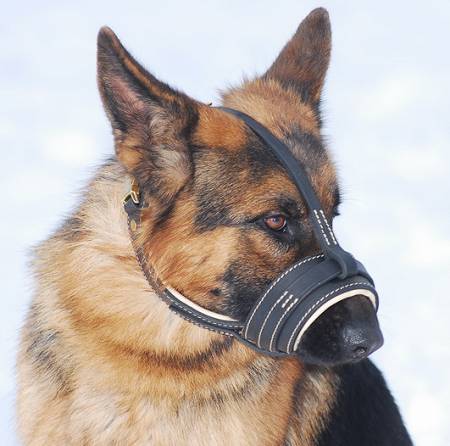 Royal Nappa PADDED Leather Dog Muzzle -CUSTOM MUZZLE M88