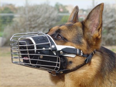 basket dog muzzle