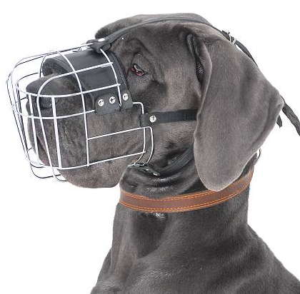 Great Dane Wire Basket dog muzzle-Large dog muzzle