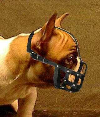 light dog muzzle