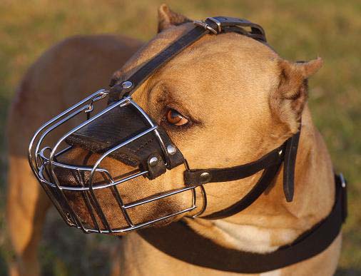 Pitbull Wire Dog Muzzle - Wire Basket Dog Muzzle for Pit Bull