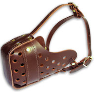 Leather Dog Muzzle "Dondi" - Plus Style For Training Your Pet