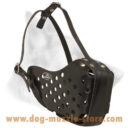 Extra Strong Leather Dog Muzzle With Adjustable Straps
