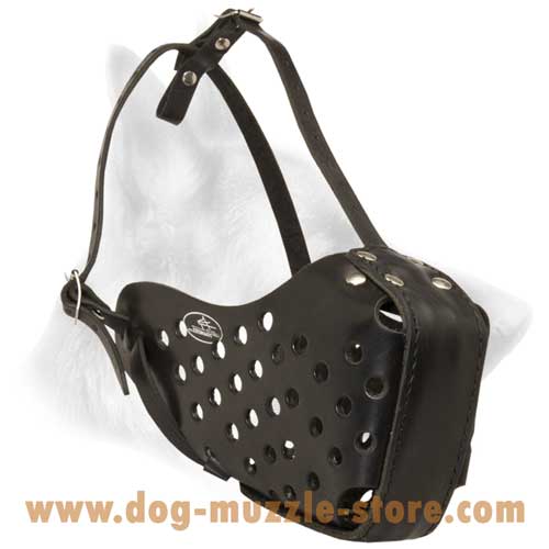 leather dog muzzle