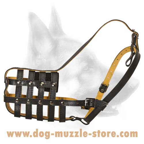 basket dog muzzle