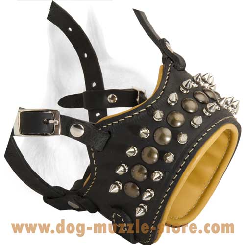 Super Leather Dog Muzzle Prevents The Dog's Snout  Rubbing