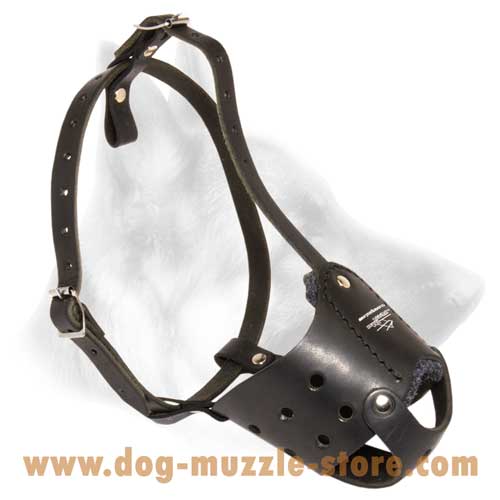 Amazing Nose Padded Leather Dog Muzzle With Adjustable  Straps