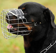 Rottweiler Wire Dog Muzzle, Rottweiler Basket Dog Muzzle -PADDED