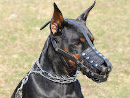 Everyday Light Weight Super Ventilated Doberman Muzzle