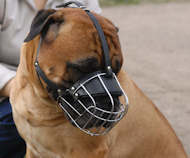 Bullmastiff Wire Basket dog muzzle-Large dog muzzle