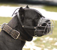 Cane Corso Wire Basket dog muzzle - Large dog muzzle