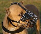 American PitBull Terrier muzzle -Pit bull Wire Basket dog muzzle