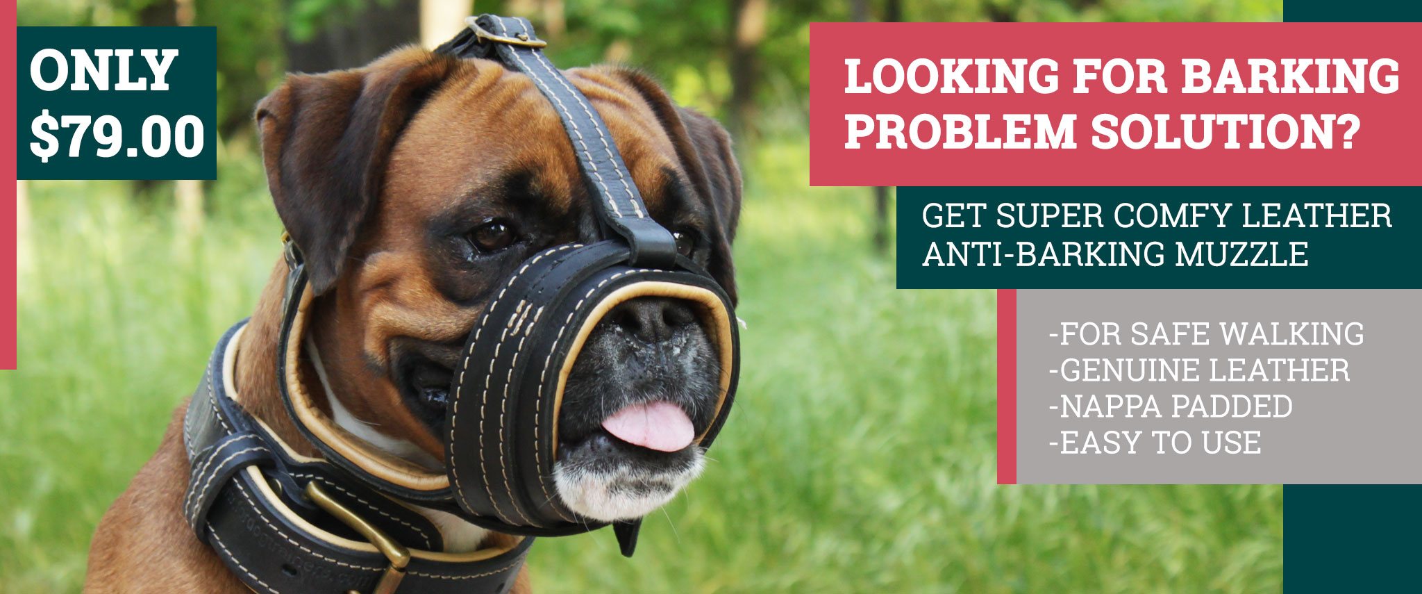 Dog muzzle, Leather dog muzzles, Wire dog muzzle, dog muzzle training